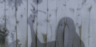 This is a blue/grey image of a wooden wall or fence, the texture and knots of the wood visible. A darker shadow of a person holding a flower in their left hand, raised above their head is cast on the wall/fence. Shadows of plants are also on the left of the image.