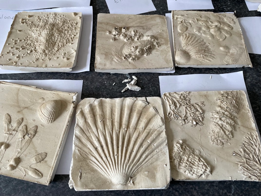 Rathlee NS plaster-casts - Jo Lewis Blog Series