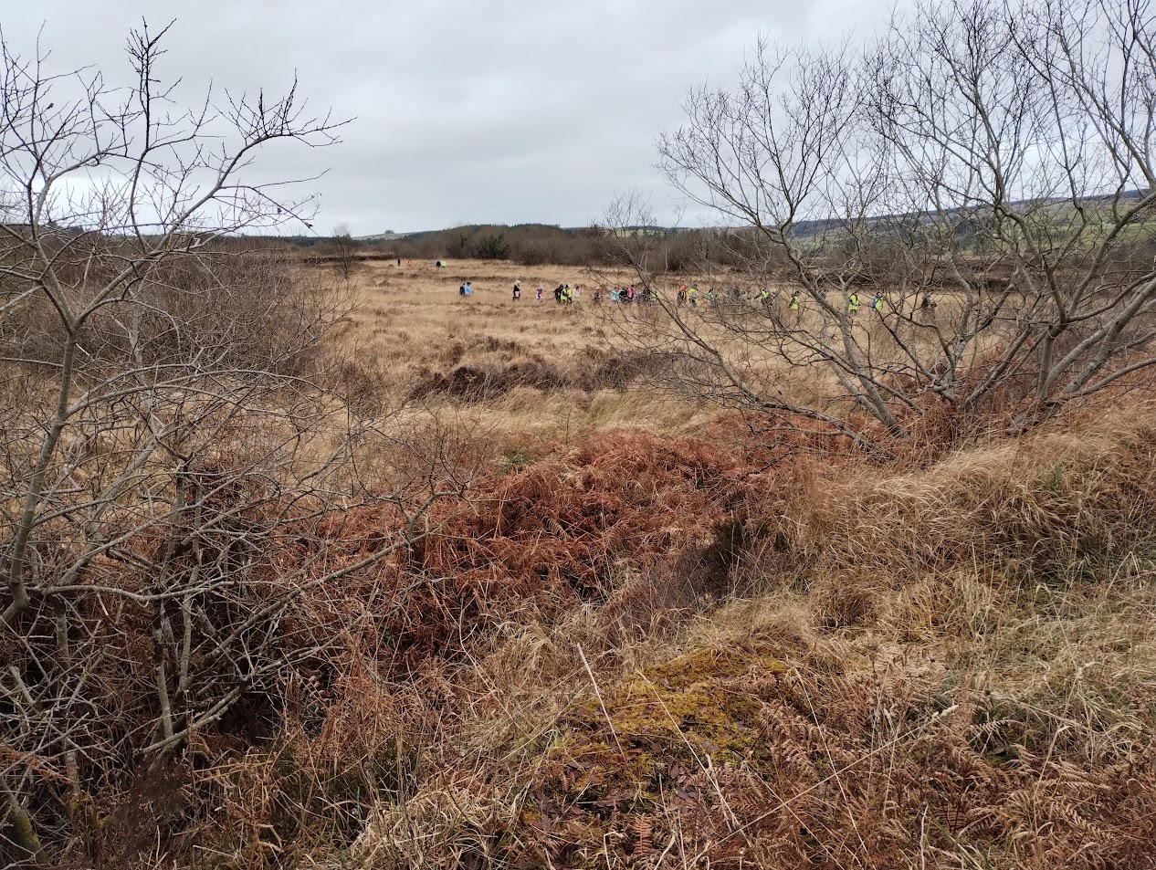 Students from Geevagh National School in the distance on a field trip to Clooneen bog on a winters day