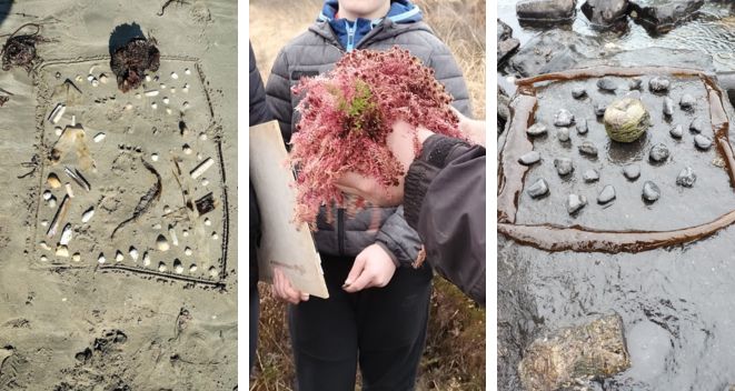 A group of three images showing beach art and a bog field trip with primary school students with Jo Lewis artist