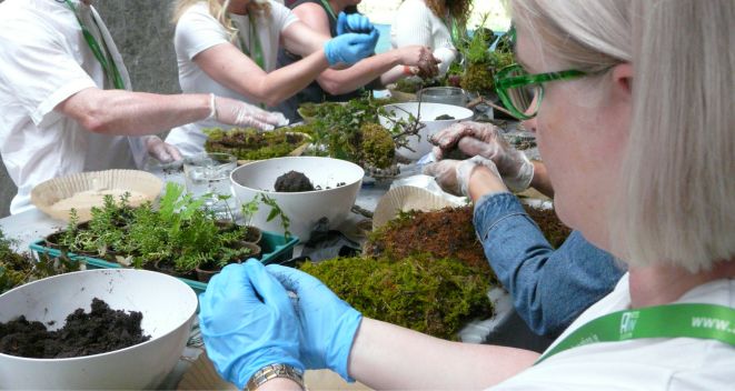 Participants at a kokedama creative workshop sit at a table of foliage and greenery for Portal Regional Day 2025