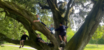 Students from Scoil Mhuire Eimhin climbing trees in Curraghchase Forest Park