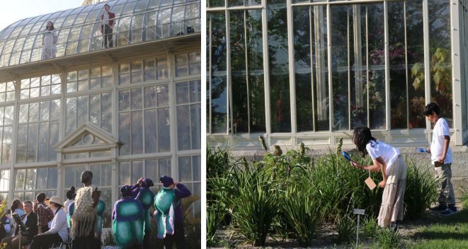 Primary school children perform in Orpheus in the Garden at National Botanic Gardens