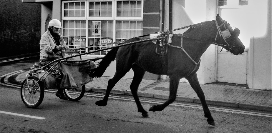 A Day in The Life of Rathkeale, The Rathkeale Rider