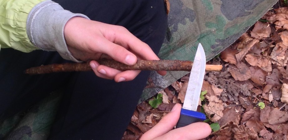 Image copyright - Irish Forest School Association - Whittling